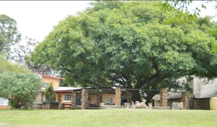 Anna Boeremeisie Guesthouse Benoni Rom bilde